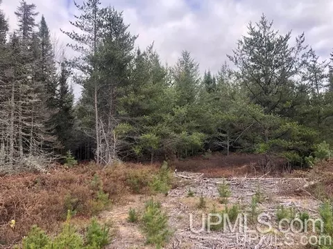 tbd 80 Acres Off Flat Rock, Ishpeming, MI 49849 photo 15