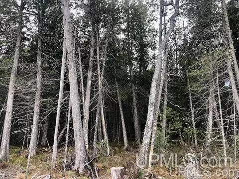 tbd 80 Acres Off Flat Rock, Ishpeming, MI 49849 photo 13