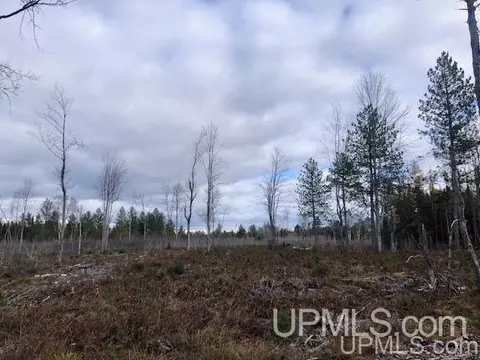 tbd 80 Acres Off Flat Rock, Ishpeming, MI 49849 photo 18