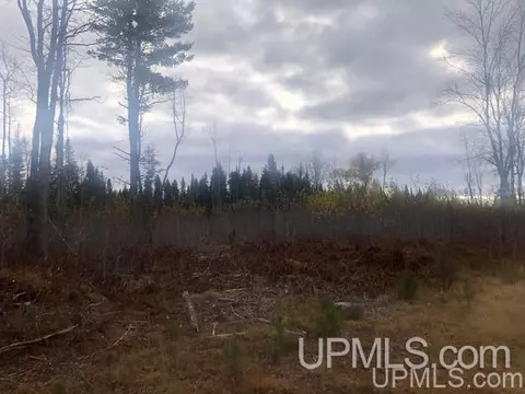 tbd 80 Acres Off Flat Rock, Ishpeming, MI 49849 photo 3