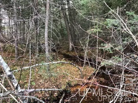tbd 80 Acres Off Flat Rock, Ishpeming, MI 49849 photo 9