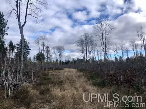 tbd 80 Acres Off Flat Rock, Ishpeming, MI 49849 photo 16