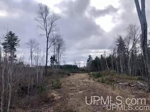 tbd 80 Acres Off Flat Rock, Ishpeming, MI 49849 photo 17