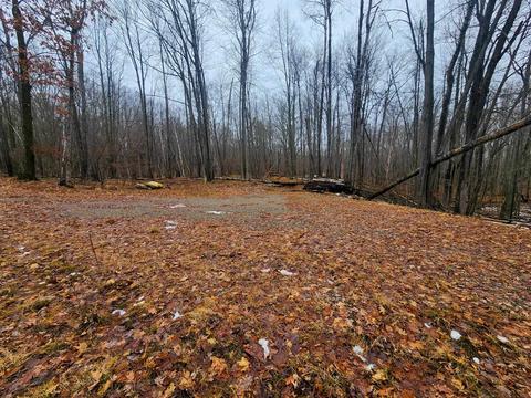 Lots 350 & 351 Elm Run, Farwell, MI 48622