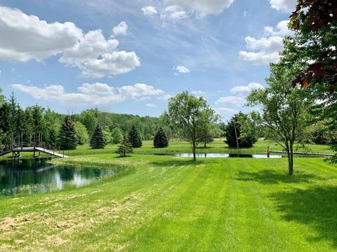 9777 Lambs Rd, Wales, MI 48027 photo 99