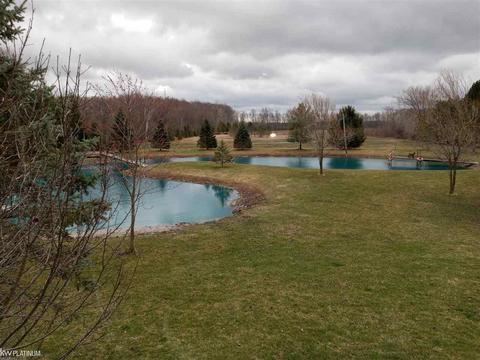 9777 Lambs Rd, Wales, MI 48027 photo 96