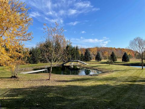 9777 Lambs Rd, Wales, MI 48027 photo 32