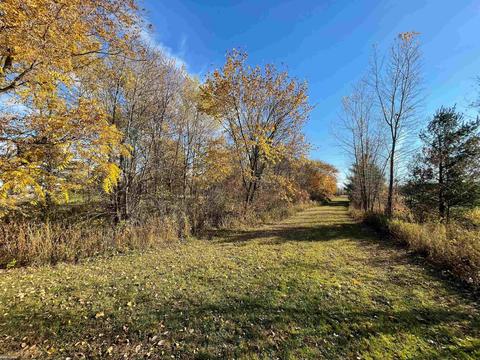 9777 Lambs Rd, Wales, MI 48027 photo 85