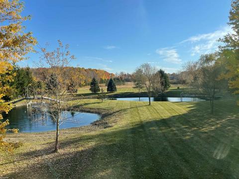 9777 Lambs Rd, Wales, MI 48027 photo 90