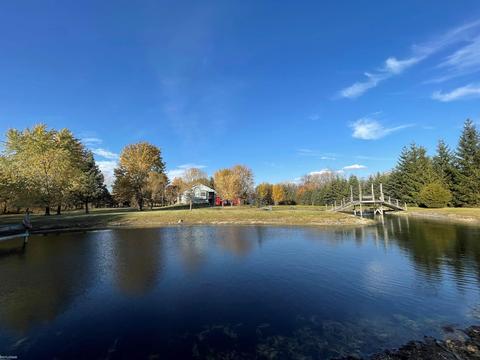 9777 Lambs Rd, Wales, MI 48027 photo 87