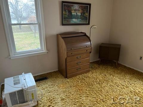 663 Lenawee, Adrian, MI 49221 photo 7
