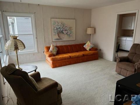 663 Lenawee, Adrian, MI 49221 photo 2