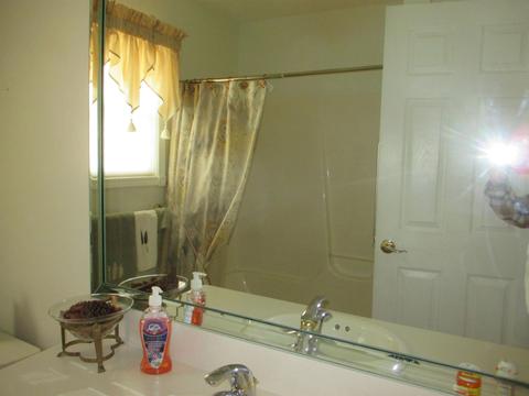 448 Riverwoods, Flushing, MI 48433 photo 16
