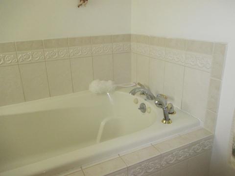 448 Riverwoods, Flushing, MI 48433 photo 21