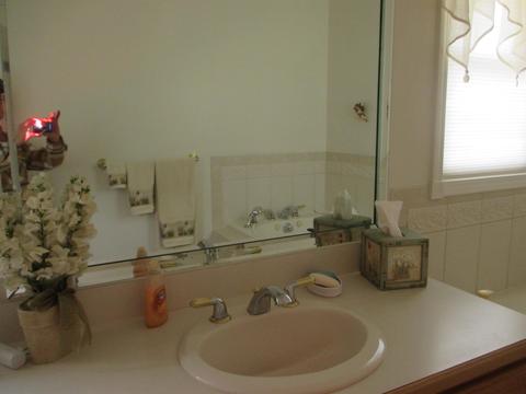 448 Riverwoods, Flushing, MI 48433 photo 20