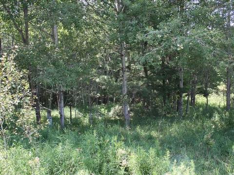 1 08 Acres N Clare, Harrison, MI 48625