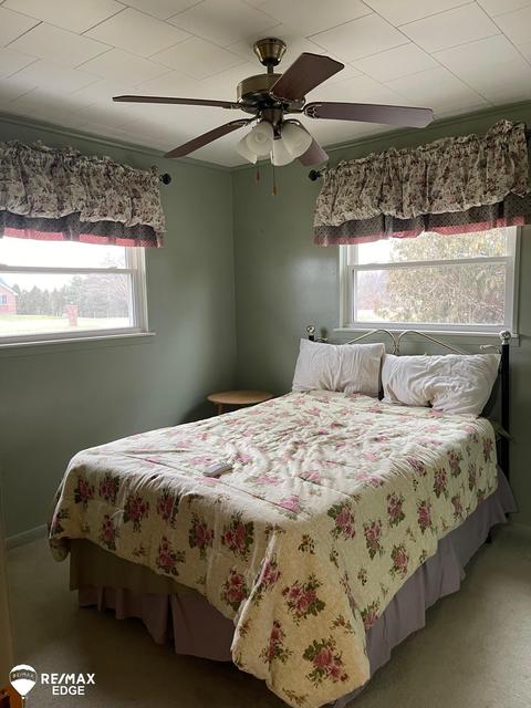 3143 Frances, Clio, MI 48420 photo 20