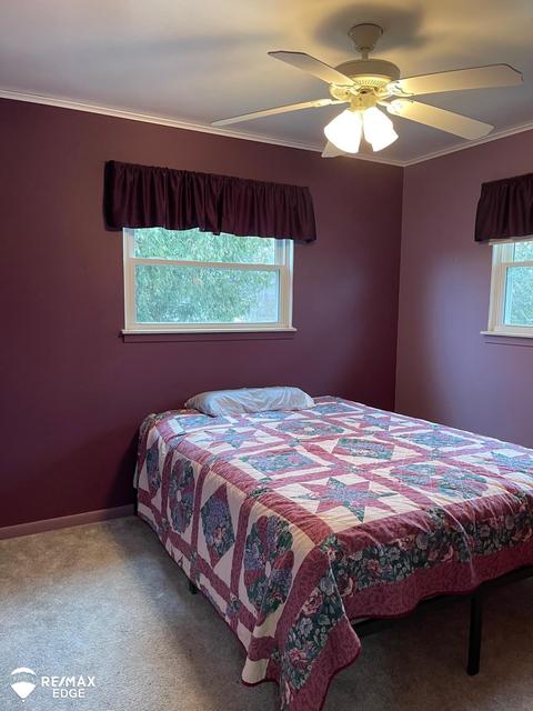 3143 Frances, Clio, MI 48420 photo 22