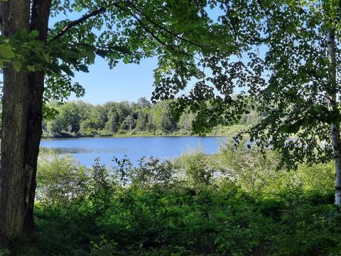 Lot 22 Eddy Dr, Gladwin, MI 48624