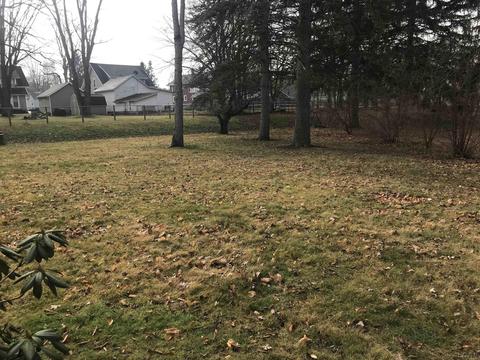 765 Alexander, Adrian, MI 49221 photo 3