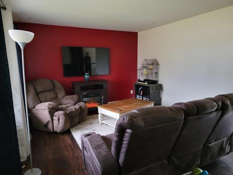 501 Spring, Flushing, MI 48433 photo 7