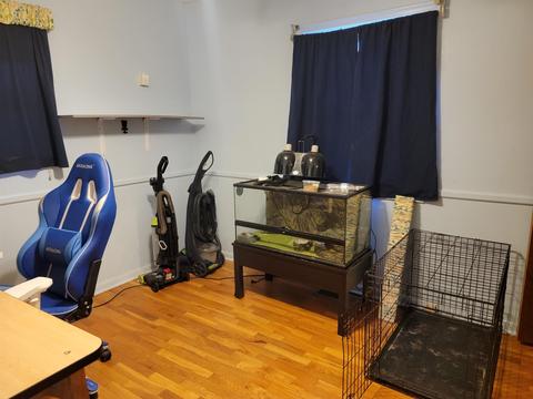501 Spring, Flushing, MI 48433 photo 14