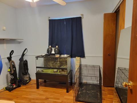 501 Spring, Flushing, MI 48433 photo 15