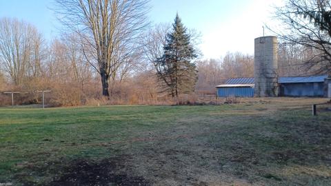 7659 Bean Rd, Avoca, MI 48006 photo 6