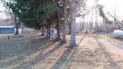 7659 Bean Rd, Avoca, MI 48006 photo 5