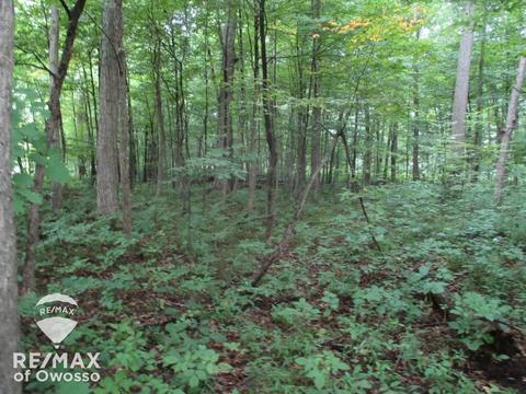Boulder, Perry, MI 48867 photo 7