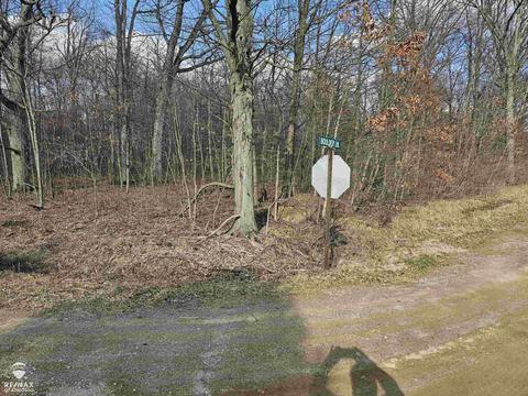 Boulder, Perry, MI 48867 photo 16
