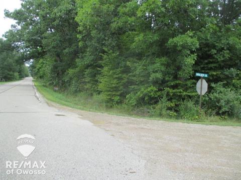 Boulder, Perry, MI 48867