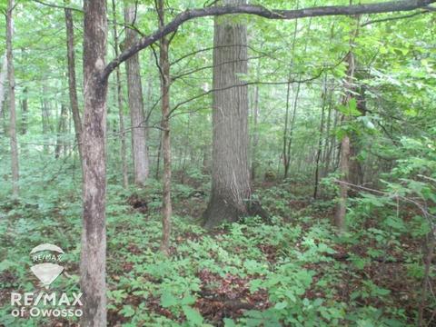 Boulder, Perry, MI 48867 photo 6