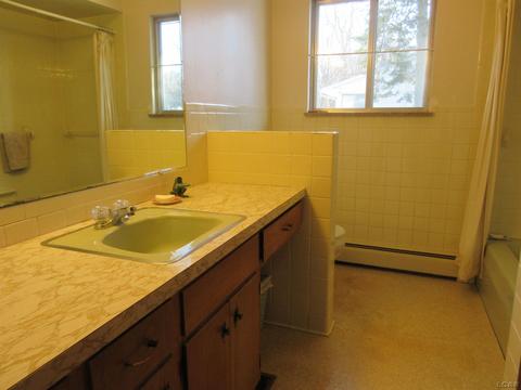 204 Burt St, Tecumseh, MI 49286 photo 28