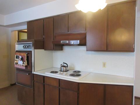 204 Burt St, Tecumseh, MI 49286 photo 16