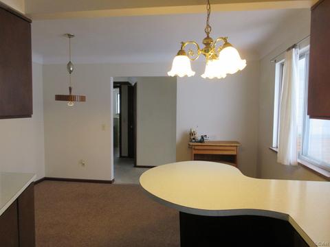 204 Burt St, Tecumseh, MI 49286 photo 20