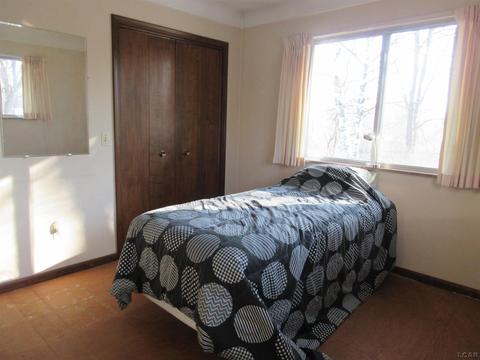 204 Burt St, Tecumseh, MI 49286 photo 31