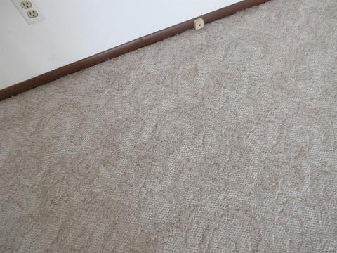 204 Burt St, Tecumseh, MI 49286 photo 25