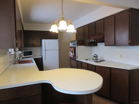 204 Burt St, Tecumseh, MI 49286 photo 13