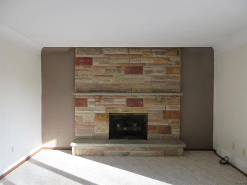 204 Burt St, Tecumseh, MI 49286 photo 24