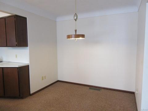204 Burt St, Tecumseh, MI 49286 photo 15