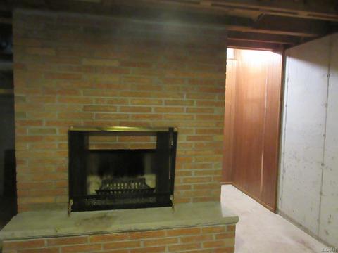 204 Burt St, Tecumseh, MI 49286 photo 33