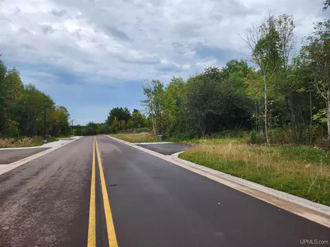 tbd 2 Dolomite, Hancock, MI 49930 photo 31