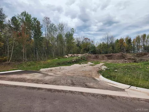 tbd 2 Dolomite, Hancock, MI 49930 photo 28