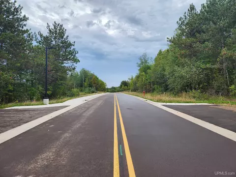 tbd 2 Dolomite, Hancock, MI 49930 photo 30