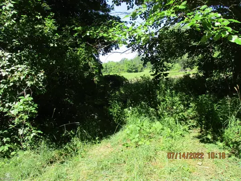 00 Bethuy Rd A, Casco, MI 48064 photo 9