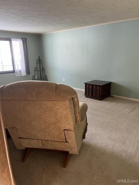 1095 School St, Ishpeming, MI 49849 photo 21
