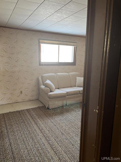 1095 School St, Ishpeming, MI 49849 photo 28