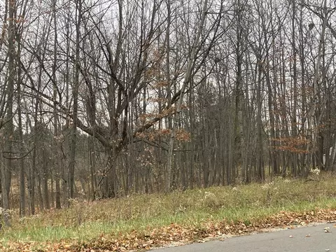 254 Linksview, Gladwin, MI 48624