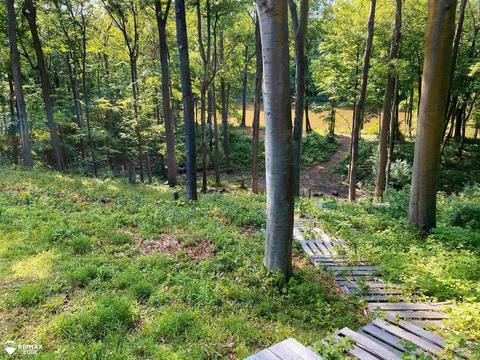 5261 Chickasaw Trl, Flushing, MI 48433 photo 46